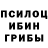 Галлюциногенные грибы Cubensis Cesium