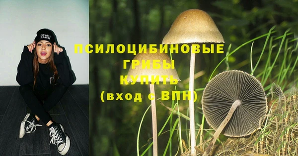 спиды Армянск