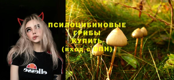 соль ск Аркадак