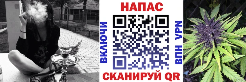 хочу наркоту  Новоульяновск  OMG как войти  Бошки марихуана план 